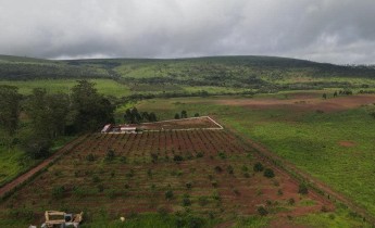 Anúncio FAZENDA DE 500 HECTARES EM FUNCIONAMENTO