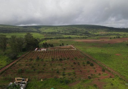 Anúncio FAZENDA DE 500 HECTARES EM FUNCIONAMENTO
