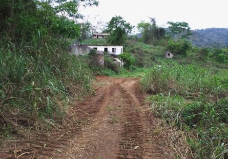 Anúncio Vendo uma Fazenda na comuna do Piri