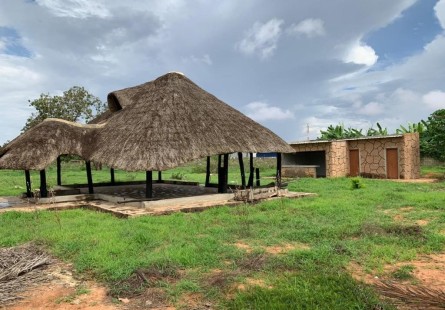 Anúncio Vender: Quinta de 2 hectares, no Kikuxi.
