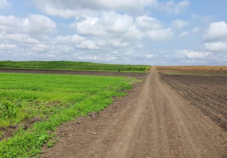 Anúncio Vender: Fazenda na Comuna do Cassoneca, Ícolo e Bengo, Luanda.