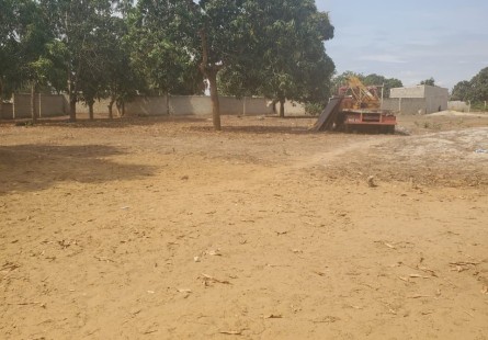 Anúncio Vender: Terreno no Município de Ícolo e Bengo, Luanda.