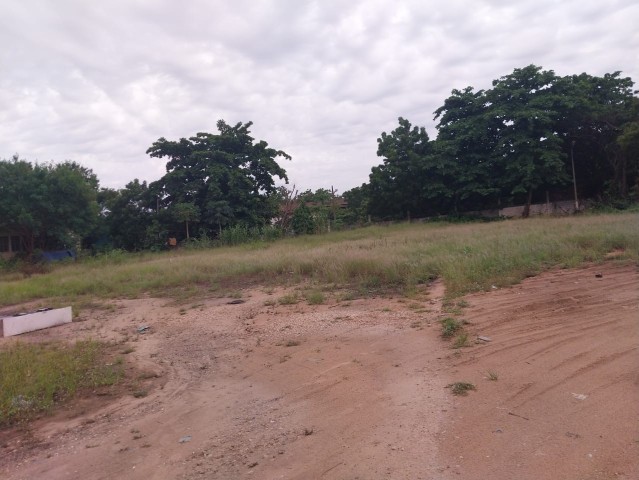 Terreno de 9 hectares, na Vila de Viana, Viana.