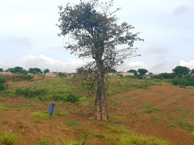 TERRENO DE 2 HECTARES, BERMA ESTRADA, CACUACO