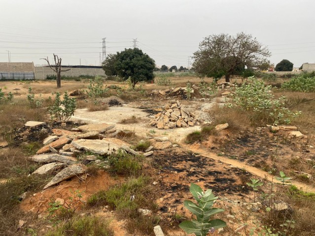 TERRENO DE 1 HECTARE, NA VIA EXPRESSA.