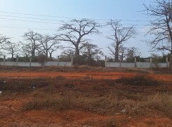 Anúncio Terreno de 2 hectares, de 1 linha, Via Expressa.