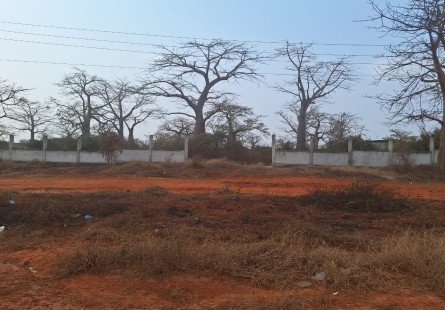 Anúncio Terreno de 2 hectares, de 1 linha, Via Expressa.