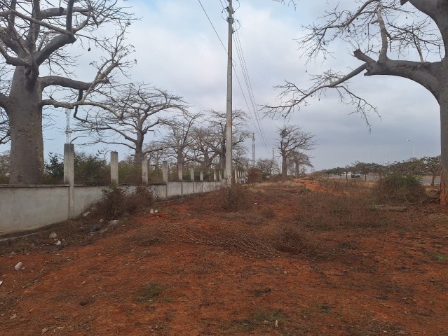 Terreno de 2 hectares, de 1 linha, Via Expressa.