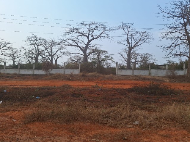 Terreno de 2 hectares, de 1 linha, Via Expressa.