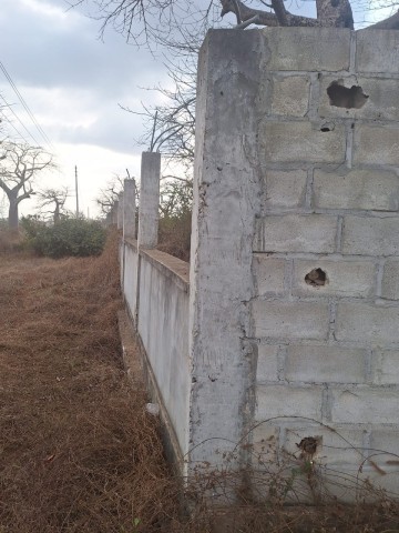 Terreno de 2 hectares, de 1 linha, Via Expressa.