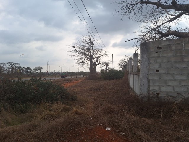 Terreno de 2 hectares, de 1 linha, Via Expressa.