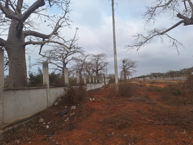 Terreno de 2 hectares, de 1 linha, Via Expressa.