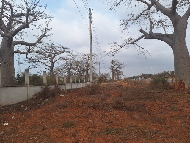 Terreno de 2 hectares, de 1 linha, Via Expressa.