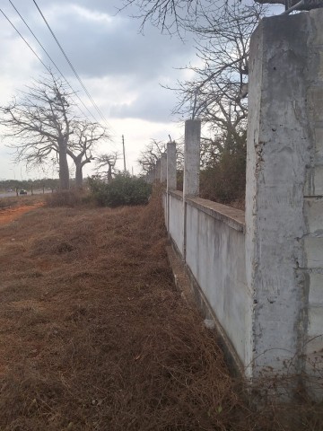 Terreno de 2 hectares, de 1 linha, Via Expressa.