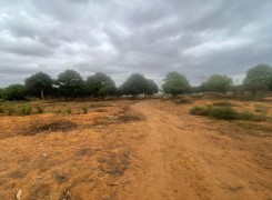 Anúncio Terreno de 6 hectares, no Kikuxi, Viana.