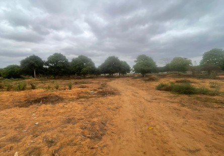 Anúncio Terreno de 6 hectares, no Kikuxi, Viana.