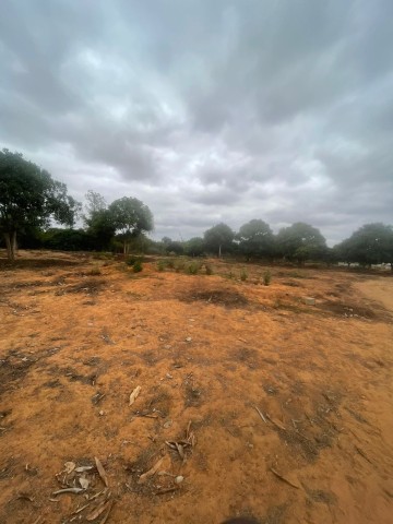 Terreno de 6 hectares, no Kikuxi, Viana.