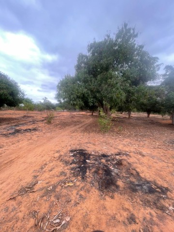 Terreno de 6 hectares, no Kikuxi, Viana.