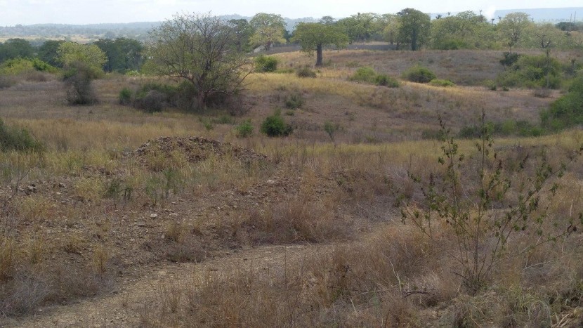 Terreno de 2,1 hectares, 1 linha, adjacente ao novo Aeroporto Internacional de Luanda, Icolo e Bengo.