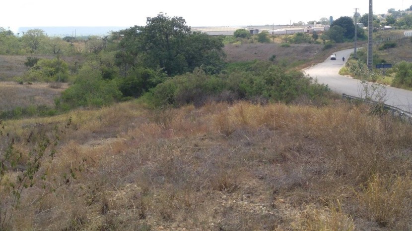 Terreno de 2,1 hectares, 1 linha, adjacente ao novo Aeroporto Internacional de Luanda, Icolo e Bengo.