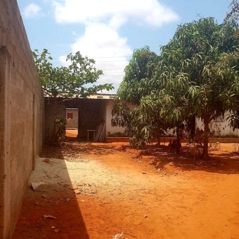 TERRENO DE 5 HECTARES, NA VIA EXPRESSA.