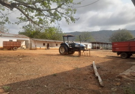 Anúncio TERRENO DE 3000 HECTARES, NA PROVÍNCIA DO CUANZA NORTE.
