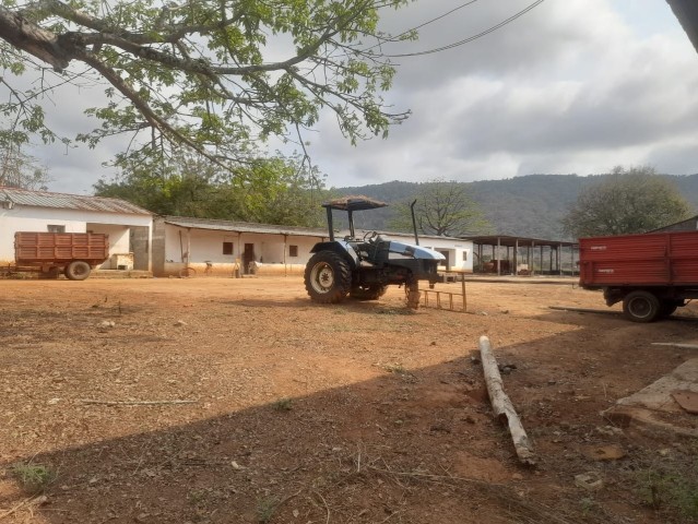 TERRENO DE 3000 HECTARES, NA PROVÍNCIA DO CUANZA NORTE.