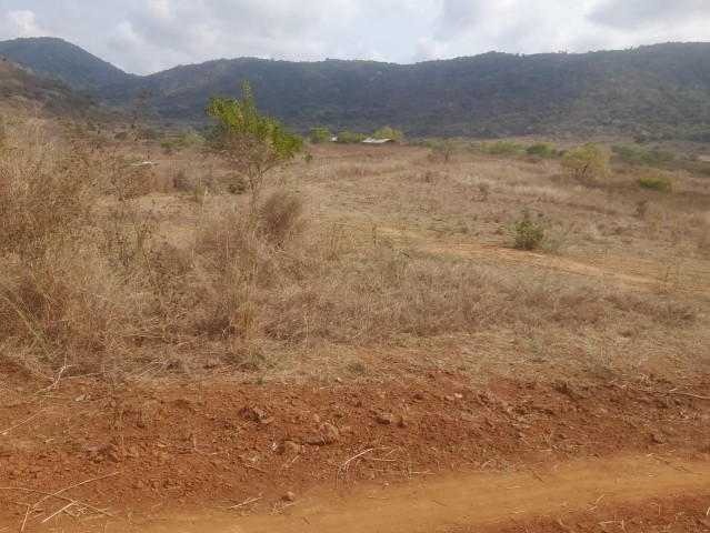 TERRENO DE 3000 HECTARES, NA PROVÍNCIA DO CUANZA NORTE.