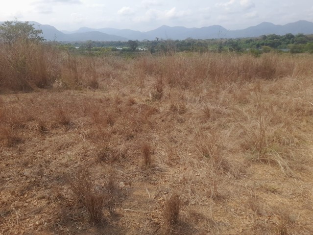 TERRENO DE 3000 HECTARES, NA PROVÍNCIA DO CUANZA NORTE.