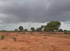 TERRENO DE 2 HECTARES, ZANGO 0.