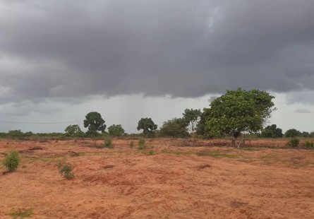 Anúncio TERRENO DE 2 HECTARES, ZANGO 0.
