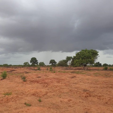 TERRENO DE 2 HECTARES, ZANGO 0.