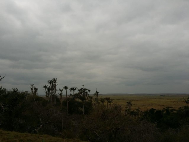 Fazenda agropecuária, no município da Quissama, Luanda.