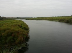 Fazenda agropecuária, no município da Quissama, Luanda.