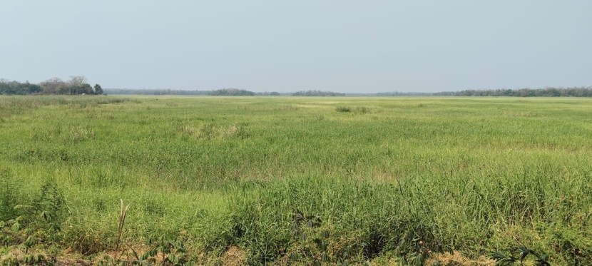 Fazenda agropecuária, no município da Quissama, Luanda.