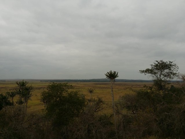 Fazenda agropecuária, no município da Quissama, Luanda.