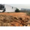 LOTE DE 2040, EM TALATONA