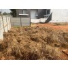 LOTE DE 2040, EM TALATONA