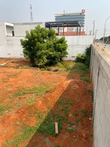 LOTE DE 2040, EM TALATONA