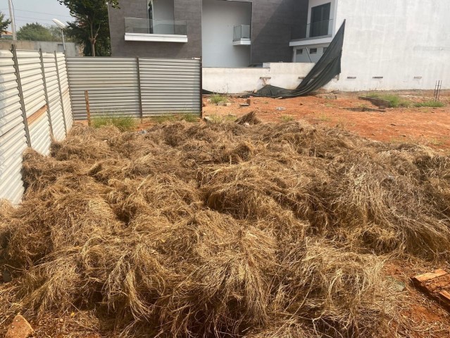 LOTE DE 2040, EM TALATONA