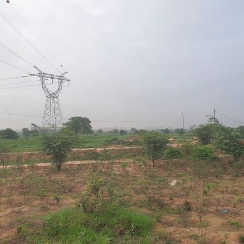 TERRENO DE 50 HECTARES, VIA EXPRESSA, BELAS.