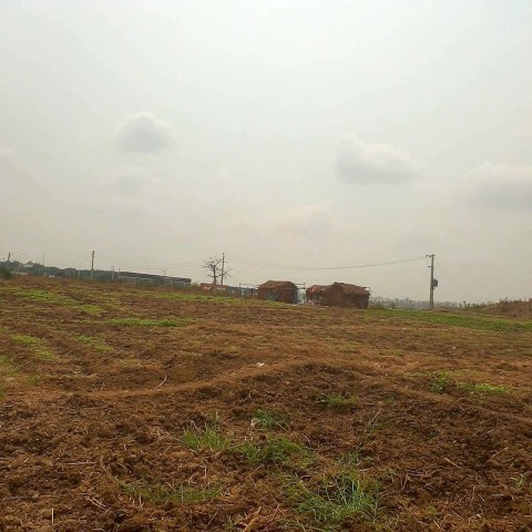 TERRENO DE ESQUINA DE 60 HECTARES, VIA EXPRESSA, CACUACO.