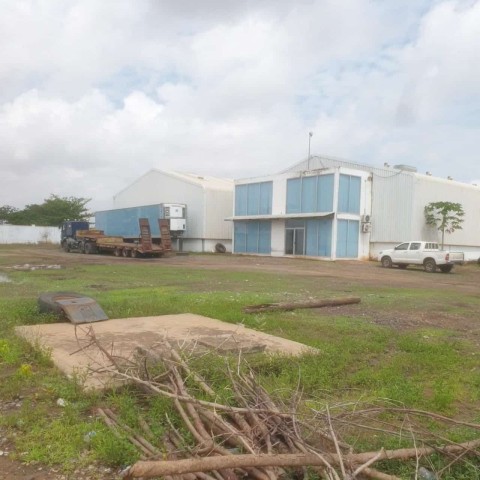 TERRENO DE 2.5 HECTARES COM 6 NAVES, NA VIA EXPRESSA, VIANA.