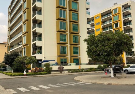 Anúncio Apartamento T1, mobiliado, no condomínio Horizonte Morro Bento, Morro Bento.