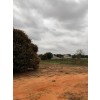 Terreno 2 hectares