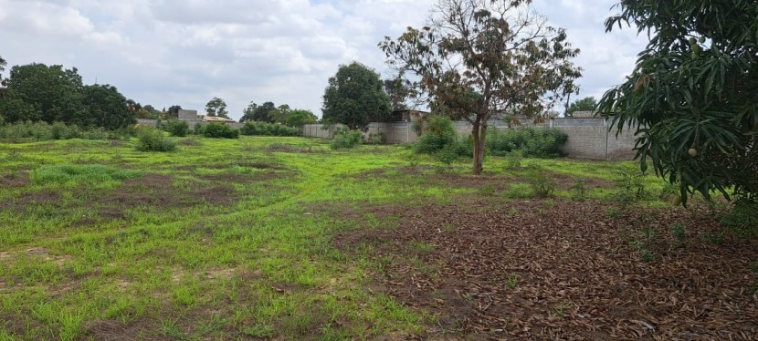 TERRENO DE 2.5 HECTARES CIRCUJACENTE AO CONDOMÍNIO KASSAMA - VIA EXPRESSA