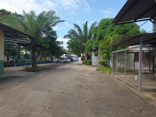 A Venda Estaleiro Industrial - Viana.
