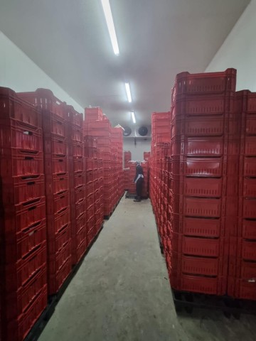 A Venda Fabrica de carne, em Viana, Viana Park.
