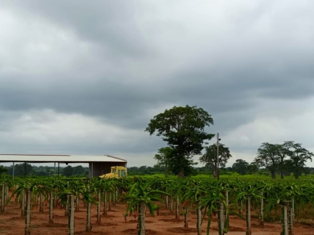 A Venda Fazenda de 200 hectares, no município do Dande, Bengo.