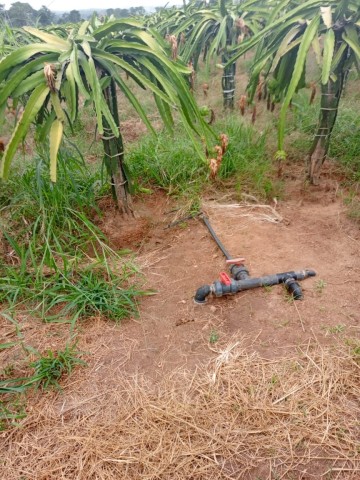 A Venda Fazenda de 200 hectares, no município do Dande, Bengo.